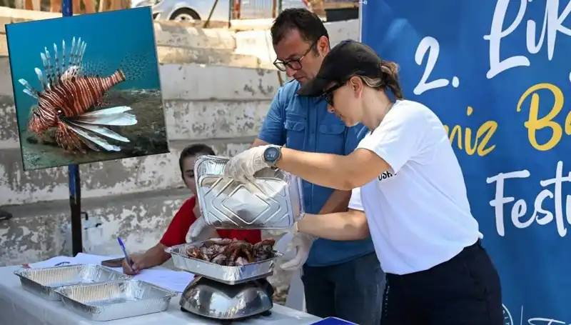 Antalya’da İstilacı Aslan Balığı Avlama Yarışması ile Eğlence Başlıyor!