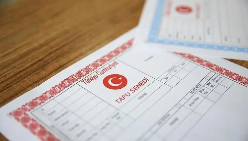 Türkiye'de 100 Milyonluk Hisseli Tapu Tuzağı: Yalanın Arkasındaki Gerçekler