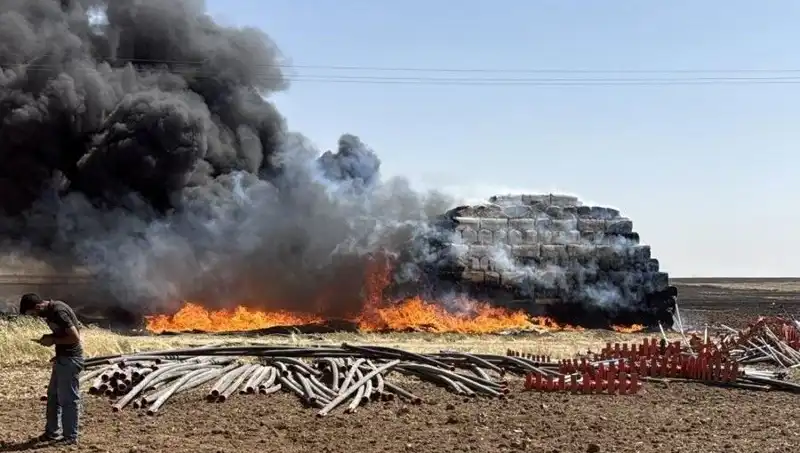 Mardin’de Korkutan Anız Yangını: Tarım Arazilerini Tehdit Ediyor
