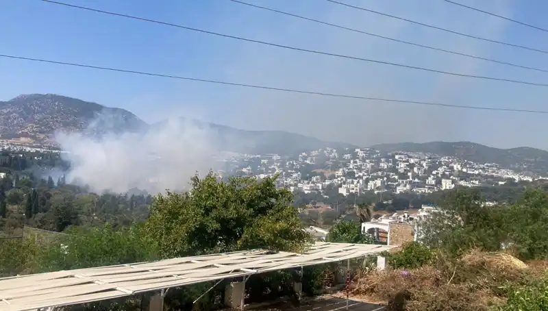 Muğla'daki Orman Yangınları Kontrol Altına Alındı: Yeşil Alanlar Yeniden Hayat Buluyor!