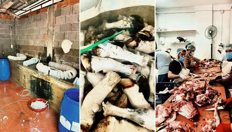 Adana’da Şok Eden Görüntüler: Yüzlerce Kilo Paça İle İlgili Skandal!