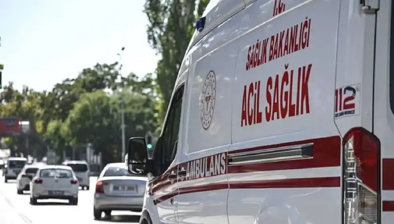Apartmanda Pul Biber Yangını: Böcek Savaşı Büyük Felaket Getirdi!