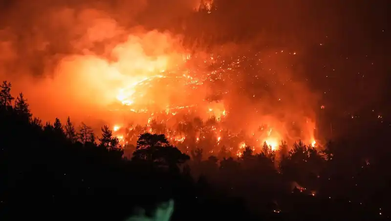 Bursa-Balıkesir Sınırında Orman Yangını: İtfaiye Ekipleri Devrede!