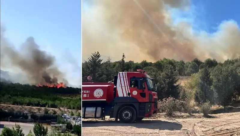 Gebze’deki Orman Yangını: Doğanın Kalbi Kükredi
