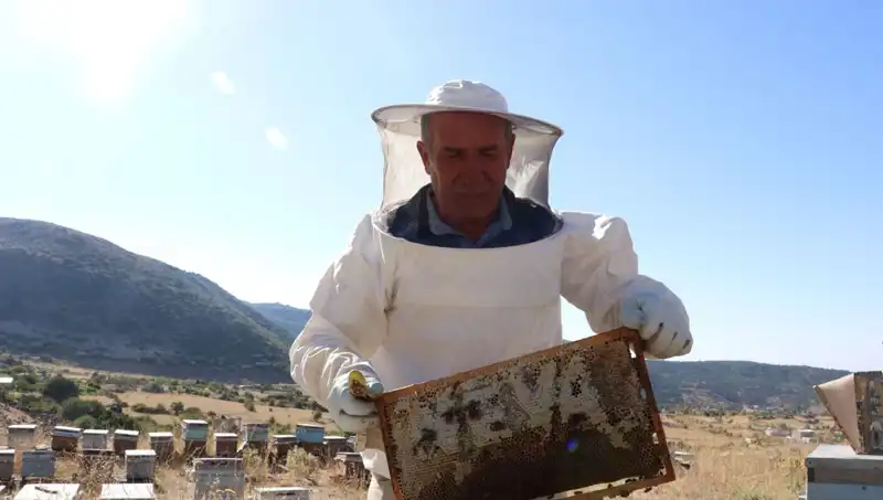 25 Yıl Sonra Mobilya İşini Bıraktı, Bu Yıl 2 Ton Üretti!