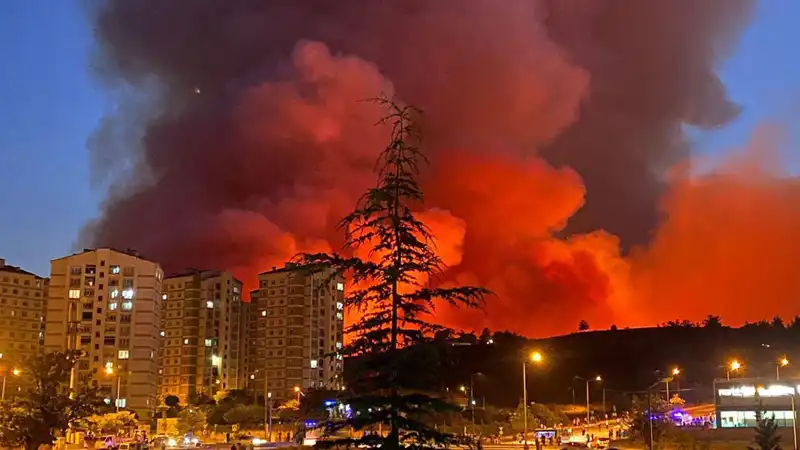 Bursa'daki Yangınlar: Şehri Saran Tehlikelerin Nedeni Nedir?