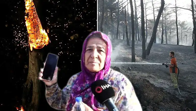 Çanakkale Orman Yangınları Kontrol Altına Alındı: Kayıplar ve Hayatta Kalanların Hikayesi