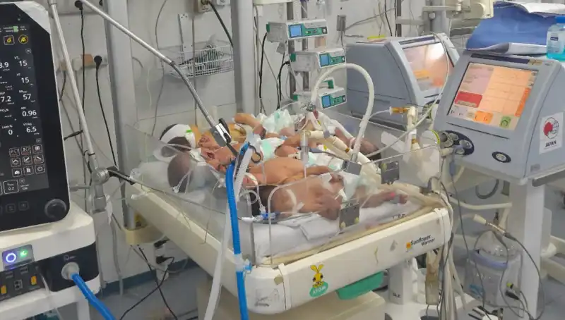 Gazzeli Doktorların Çağrısı: “Birden Fazla Bebek Aynı Kuvözde Yaşıyoruz!”