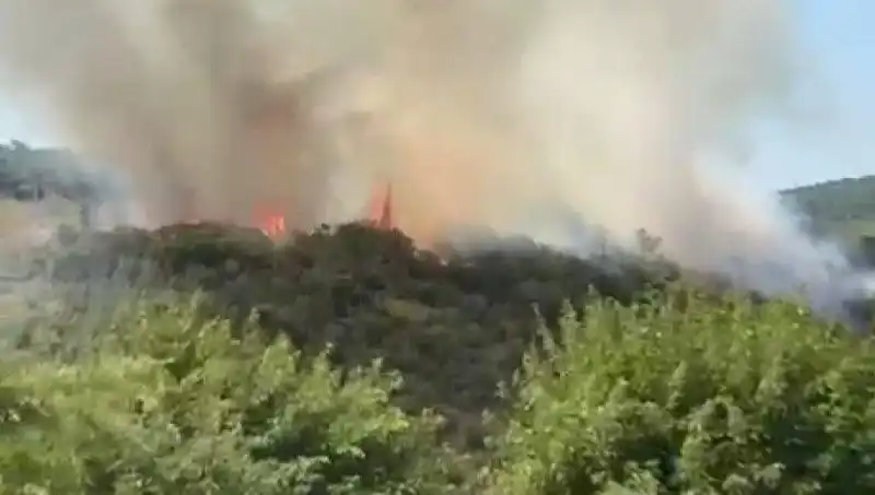 İstanbul'da Orman Yangını: Vatandaşlar Acil Tahliye Edildi!