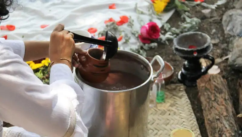Ayahuasca Nedir? Faydaları ve Yasal Durumu Üzerine Bilinmesi Gerekenler