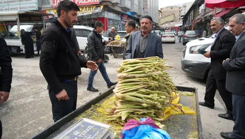 Dağlık Alanların Şifalı İksiri: Şekerin Sağlık Faydaları Neler?