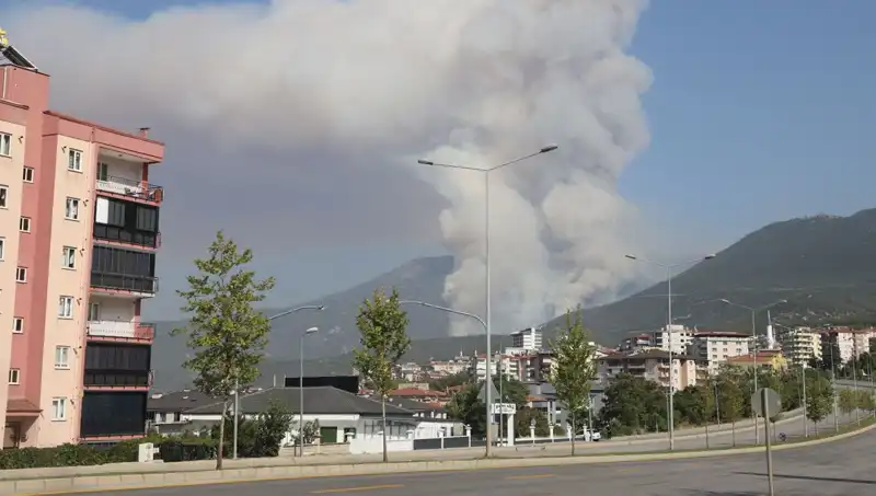 Denizli’de Orman Yangını: Sırrı Çözülen Yangının Ardındaki Şüpheli Kim?