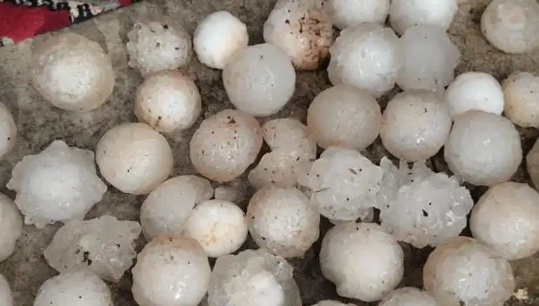 Şanlıurfa'da Kar Topu Büyüklüğünde Dolulu Yağışı Şok Etkisi Yaratıyor!