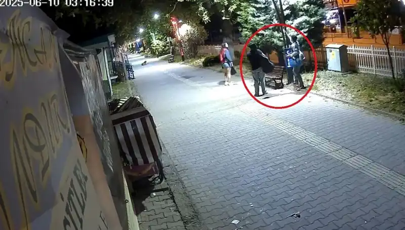 Aydınlatma Direklerindeki LED Işıkları Söküldü: Şok Zararı 300 Bin TL