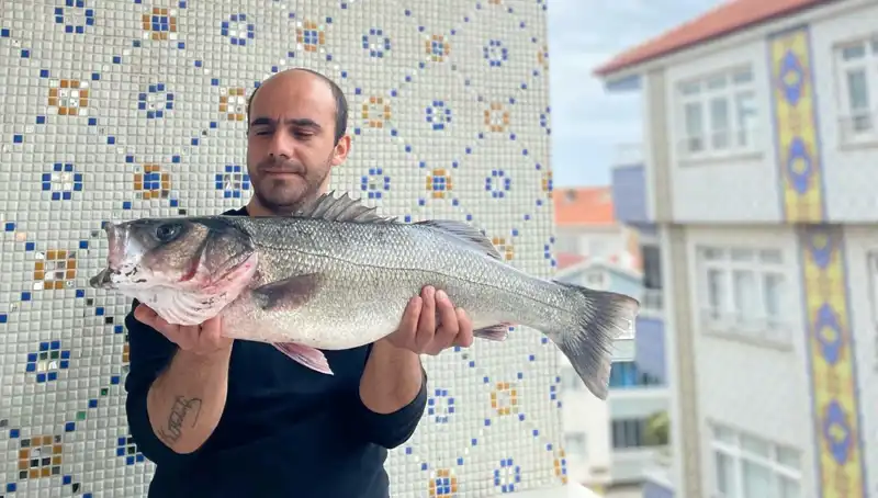 7,5 Kiloluk Dev Levrek, Balıkçının Şansını Değiştirdi!