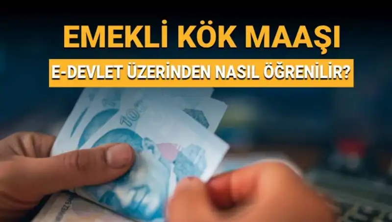 Kök Maaş Nedir? Nasıl Hesaplanır ve Öğrenilir?