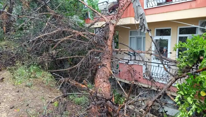 Şiddetli Yağmur, Binaları Deviren Doğal Afetlere Dönüştü